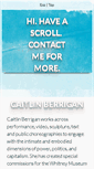 Mobile Screenshot of caitlinberrigan.com